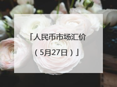 人民币市场汇价（5月27日）