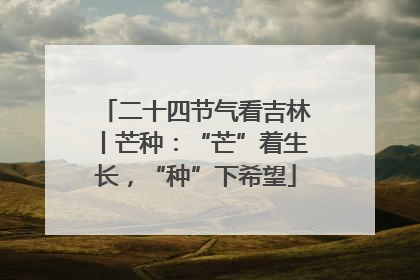 二十四节气看吉林丨芒种：“芒”着生长，“种”下希望