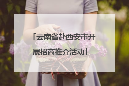 云南省赴西安市开展招商推介活动