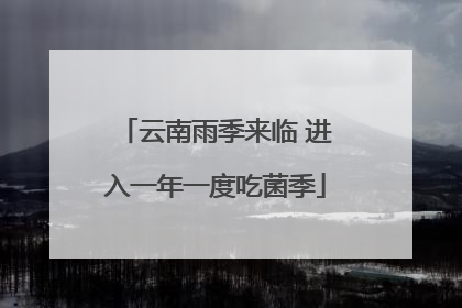 云南雨季来临 进入一年一度吃菌季