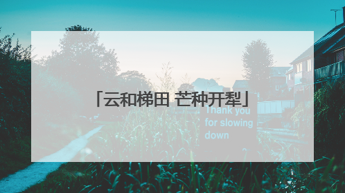 云和梯田 芒种开犁
