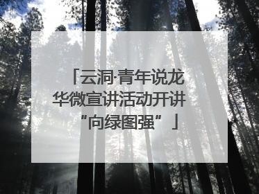 云洞·青年说龙华微宣讲活动开讲“向绿图强”
