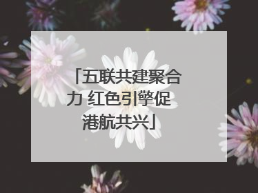 五联共建聚合力 红色引擎促港航共兴
