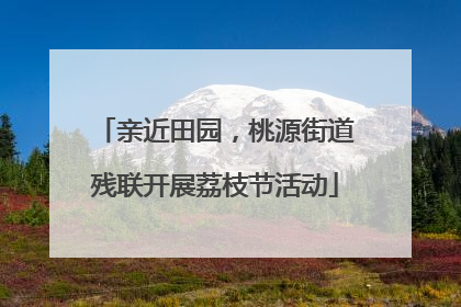 亲近田园，桃源街道残联开展荔枝节活动