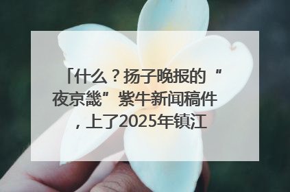 什么？扬子晚报的“夜京畿”紫牛新闻稿件，上了2025年镇江中考模拟卷！