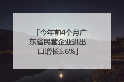 今年前4个月广东省民营企业进出口增长5.6%