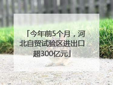 今年前5个月，河北自贸试验区进出口超300亿元