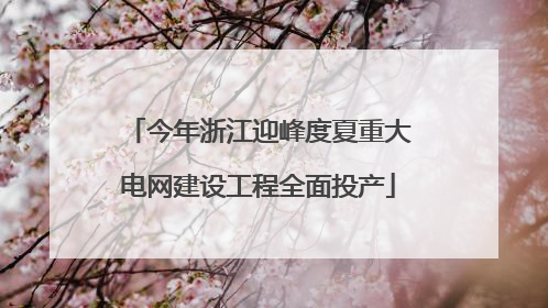 今年浙江迎峰度夏重大电网建设工程全面投产
