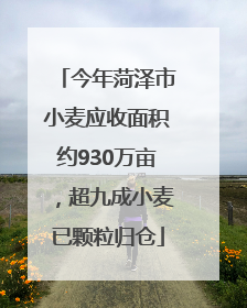 今年菏泽市小麦应收面积约930万亩，超九成小麦已颗粒归仓