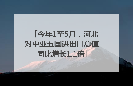今年1至5月，河北对中亚五国进出口总值同比增长1.1倍