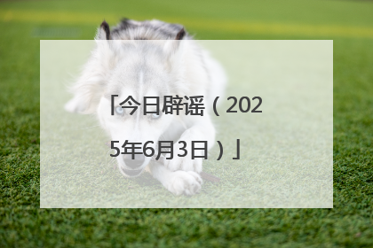 今日辟谣（2025年6月3日）