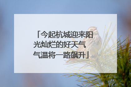 今起杭城迎来阳光灿烂的好天气 气温将一路飙升