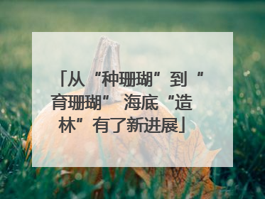 从“种珊瑚”到“育珊瑚” 海底“造林”有了新进展