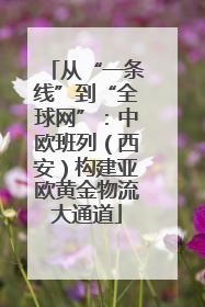 从“一条线”到“全球网”：中欧班列（西安）构建亚欧黄金物流大通道