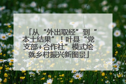 从“外出取经”到“本土结果”！叶县“党支部+合作社”模式绘就乡村振兴新图景