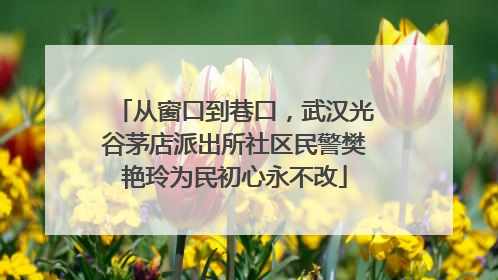 从窗口到巷口，武汉光谷茅店派出所社区民警樊艳玲为民初心永不改