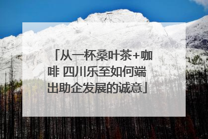 从一杯桑叶茶+咖啡 四川乐至如何端出助企发展的诚意