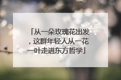 从一朵玫瑰花出发，这群年轻人从一花一叶走进东方哲学