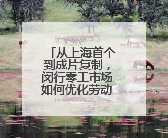 从上海首个到成片复制，闵行零工市场如何优化劳动就业服务？