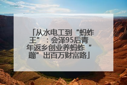 从水电工到“蚂蚱王”：会泽95后青年返乡创业养蚂蚱“蹦”出百万财富路