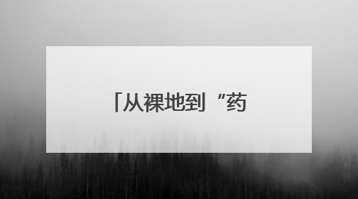 从裸地到“药香画廊”，平谷40余种中草药特色花园上线