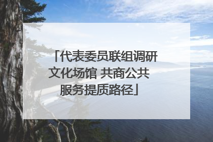 代表委员联组调研文化场馆 共商公共服务提质路径
