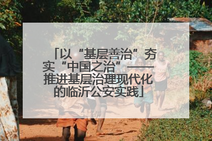 以“基层善治”夯实“中国之治”——推进基层治理现代化的临沂公安实践
