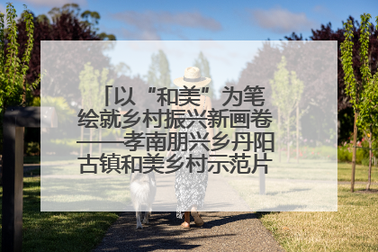 以“和美”为笔 绘就乡村振兴新画卷——孝南朋兴乡丹阳古镇和美乡村示范片区建设综述