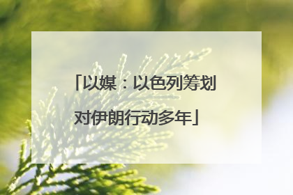 以媒：以色列筹划对伊朗行动多年