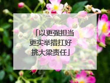 以更强担当更实举措扛好挑大梁责任