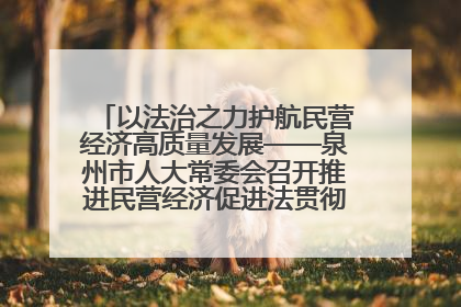 以法治之力护航民营经济高质量发展——泉州市人大常委会召开推进民营经济促进法贯彻实施座谈会