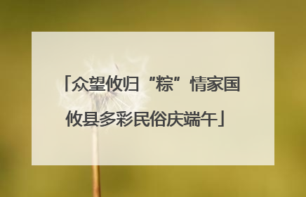 众望攸归“粽”情家国 攸县多彩民俗庆端午