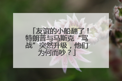 友谊的小船翻了！特朗普与马斯克“骂战”突然升级，他们为何而吵？