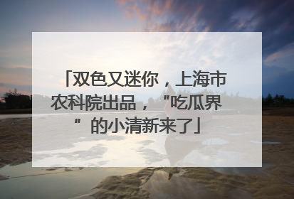 双色又迷你，上海市农科院出品，“吃瓜界”的小清新来了