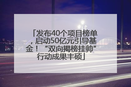 发布40个项目榜单，启动50亿元引导基金！“双向揭榜挂帅”行动成果丰硕