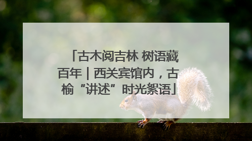 古木阅吉林 树语藏百年｜西关宾馆内，古榆“讲述”时光絮语