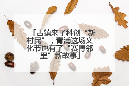 古镇来了科创“新村民”，青浦这场文化节也有了“赛博邻里”新故事