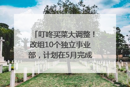 叮咚买菜大调整！改组10个独立事业部，计划在5月完成App端全面改版