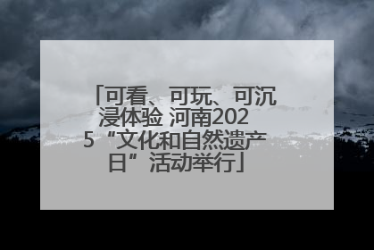 可看、可玩、可沉浸体验 河南2025“文化和自然遗产日”活动举行