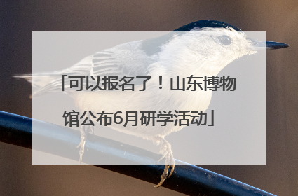 可以报名了！山东博物馆公布6月研学活动