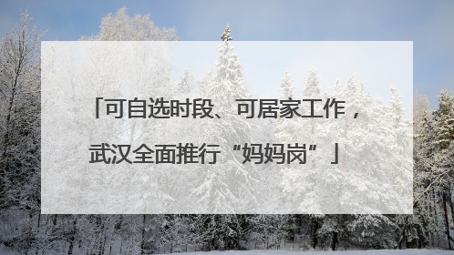 可自选时段、可居家工作，武汉全面推行“妈妈岗”
