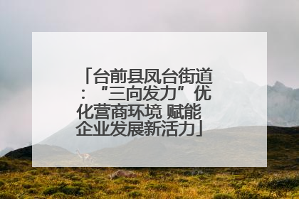 台前县凤台街道：“三向发力”优化营商环境 赋能企业发展新活力