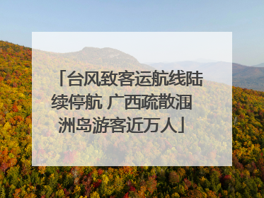 台风致客运航线陆续停航 广西疏散涠洲岛游客近万人