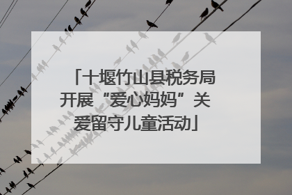 十堰竹山县税务局开展“爱心妈妈”关爱留守儿童活动