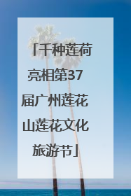 千种莲荷亮相第37届广州莲花山莲花文化旅游节