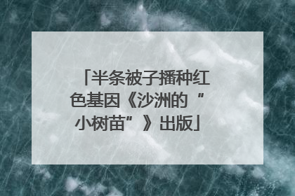 半条被子播种红色基因《沙洲的“小树苗”》出版