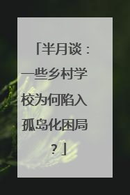 半月谈：一些乡村学校为何陷入孤岛化困局？