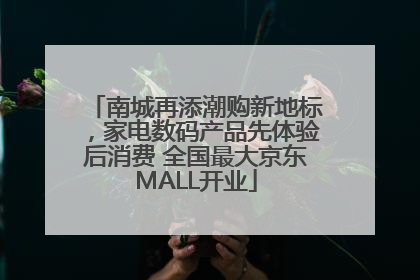 南城再添潮购新地标，家电数码产品先体验后消费 全国最大京东MALL开业