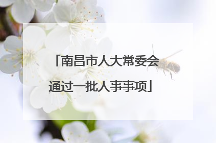 南昌市人大常委会通过一批人事事项