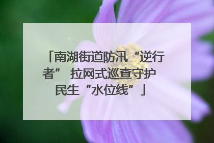 南湖街道防汛“逆行者” 拉网式巡查守护民生“水位线”